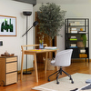 Roulette Office Chair