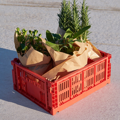 Colour Crate -kori