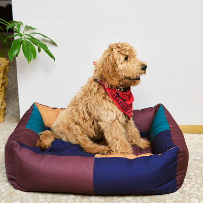 HAY Dogs -koiranpeti