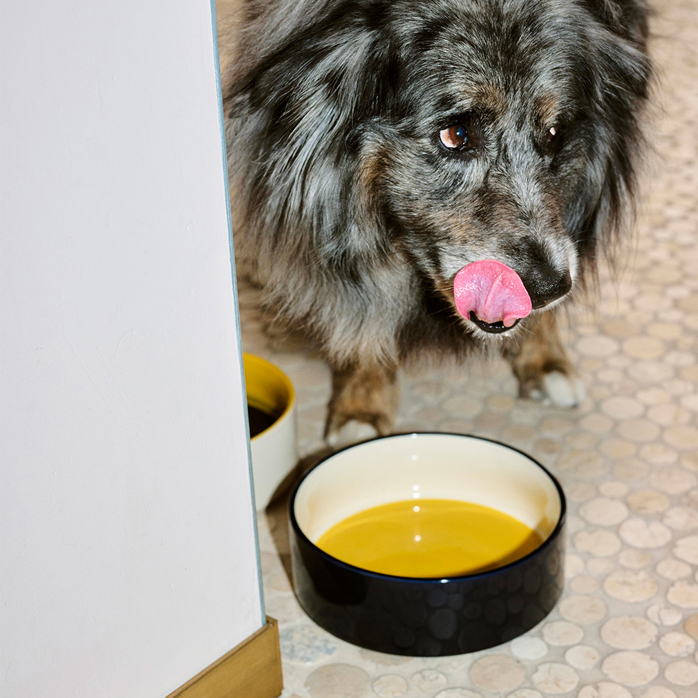 HAY Dogs -ruokakuppi