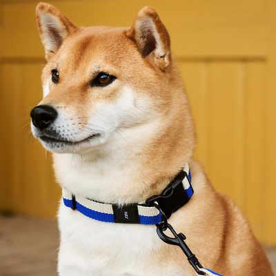 HAY Dogs -kaulapanta