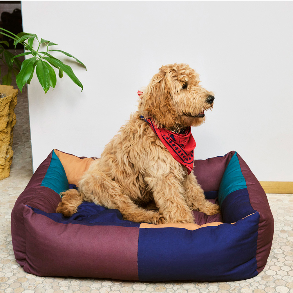 HAY Dogs -huivi