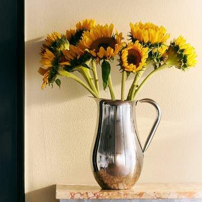 Indian Steel Pitcher -kannu