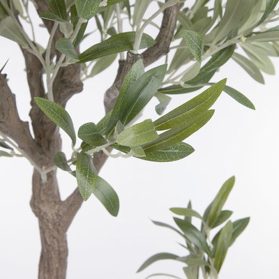 Oliivipuu-tekokasvi