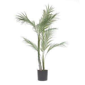 Palmu-tekokasvi, K 70 cm