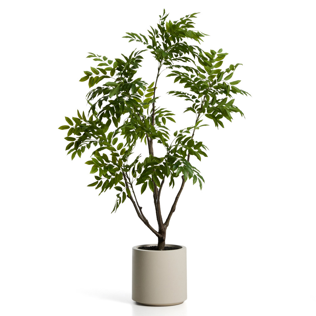 Rhus-tekokasvi