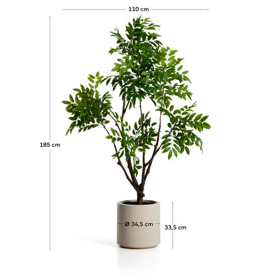 Rhus-tekokasvi