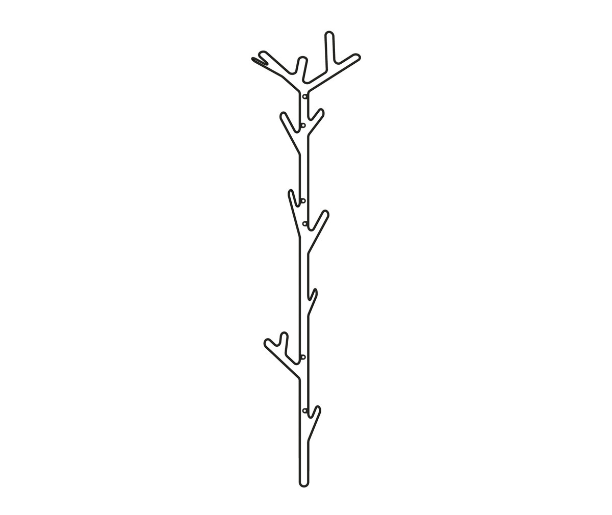 Branch Clothes Hanger