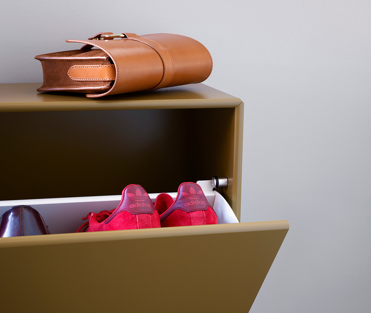 Hide Shoe Cabinet