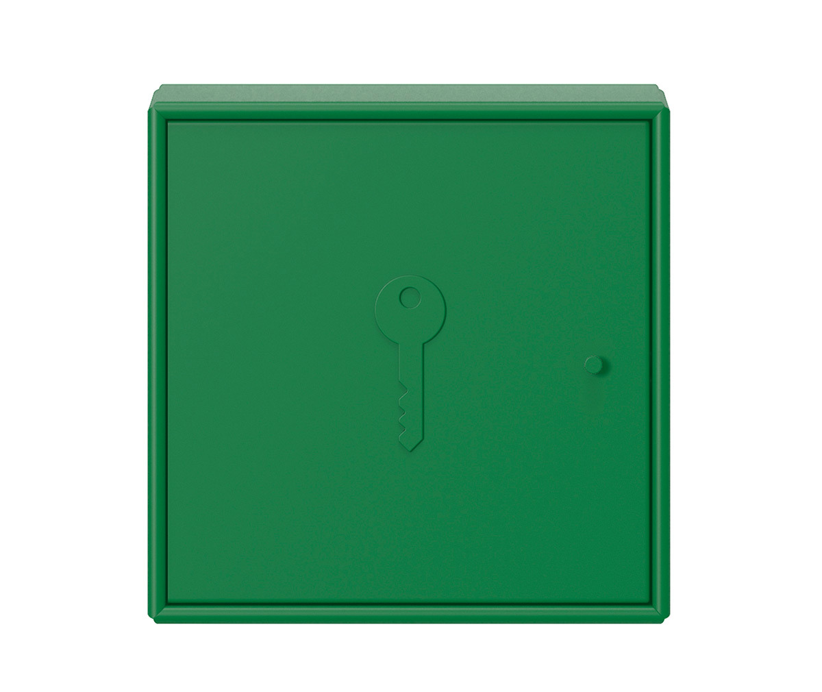 Montana Unlock-avainkaappi parsley