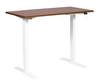 Race Standing Desk