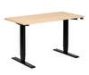 Race Standing Desk