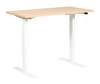 Race Standing Desk