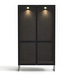 #452 Display Cabinet, Black Oak, 162 x 100 cm