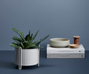 Pidestall Planter