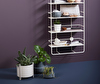 Pidestall Planter