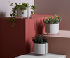 Pidestall Planter